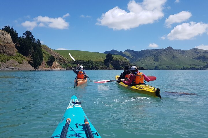 Sea Kayaking Lyttelton Harbour from Christchurch (Private Tour) - Photo 1 of 6